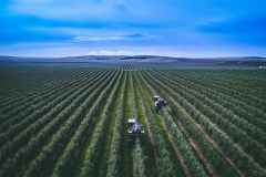 DJI_0018
