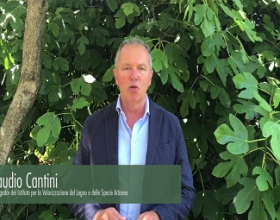 Claudio Cantini: investigador del Istituto per la Valorizzazione del Legno e delle Specie Arboree (Consiglio Nazionale delle Ricerche)