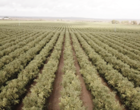 Greenfield Technologies y la agricultura de precisión