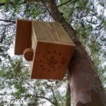 LIFE Resilience reúne al sector olivarero entorno a la biodiversidad y el control de plagas