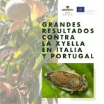 LIFE Resilience achieves great results in Portugal and Italy to prevent Xylella introduction