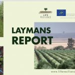 LIFE Resilience, the response to Xylella through sustainable practices