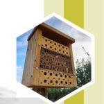 Nueva jornada: "Biodiversidad y control de plagas con cajas nido y hoteles de insectos"