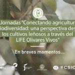 LIFE Olivares Vivos: conectando agricultura y biodiversidad