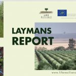 Layman's Report